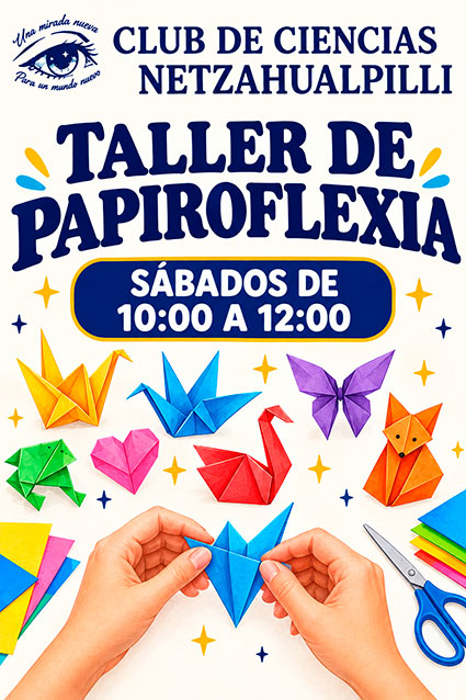 papiroflexia
